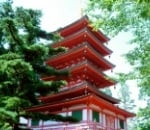 教育・文化施設